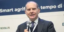 Gli agricoltori contestano i dazi Ue sui fertilizzanti russi