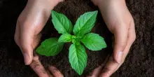 Start up, una call per lo sviluppo della biodiversità nell’agrifood