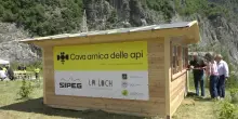 Veneto, nelle cave dismesse la casa delle api