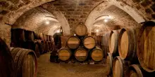 Ecco come si fa il vino: un processo poco romantico (almeno all’inizio)