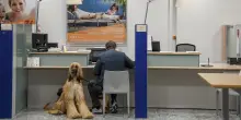 Contratto bancari, in giugno aumento medio di 50 euro