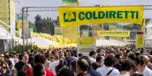 Coldiretti lancia il Manifesto per le mense italiane