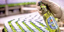 Koch (Heineken Italia): «La cultura della birra come quella del vino»