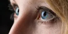 Dalle foglie d’olivo un collirio rigenerante per la cornea