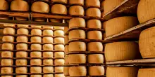 Per l’agroindustria emiliano-romagnola una ripresa record
