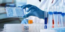 Epatite virale: l’infezione può essere curata ma servono diagnosi diffuse e tempestive