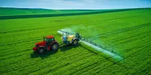 Aiuti agricoli Ue, «possibile un taglio del 20% dopo il 2027»