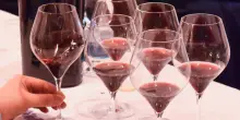 Meno Amarone e più Valpolicella: continua la trasformazione dei vini rossi veronesi