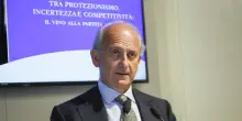 Vino, troppa produzione. Frescobaldi: «Giù le rese  dei vigneti»