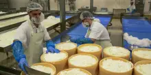 Dazi: dall’automotive all’agroalimentare, ecco i settori più colpiti da  Trump