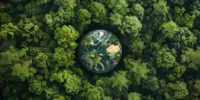 Biodiversità in calo: un milione di specie a rischio, UE al bivio