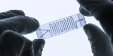 La ricerca senza animali: gli organ-on-chip cambiano le regole