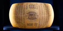 Dazi, destino diverso per Parmigiano e vino. Negli Usa si aspetta la stangata d’autunno