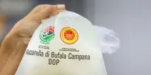 Per mozzarella di bufala e conserve di pomodoro dazi in salita ma sostenibili