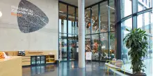 Zalando,  secondo trimestre in crescita per B2c e B2b