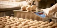 Cinque aziende nel nuovo polo della pasta fresca