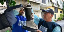 Ecdc: Italia più colpita da West Nile, 80% dei casi europei