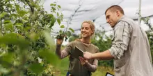 Al via il bonus agricoltori per la formazione degli under 41