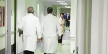 Scudo penale dei medici «freezato»:  i camici bianchi promettono battaglia