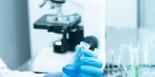 Bandi Erc, Italia seconda per cervelli premiati ma la fuga continua: su 55 solo 30 restano