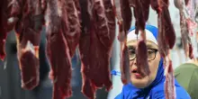 Pechino impone dazi fino al 62% sull’import di carne di maiale Ue