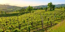 I colori del Collio Friuliano lungo gli itinerari della Grande Guerra