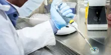 Napoli, dal CABHC con gli organ-on-chip nuovi procolli per la cura dei tumori