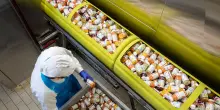 Industria alimentare, trattamenti ad alta pressione per aumentare la sicurezza