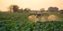 Al via a Verona l’incubatore di start up per il settore foodtech