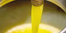 Olio di sansa, al bivio tra uso alimentare e fonte bioenergetica