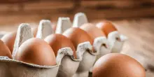Salmonella, ritirato dal mercato un lotto di uova del marchio Montanari