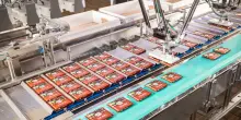 Ritter: «La corsa al cacao si vince investendo nelle piantagioni di proprietà»