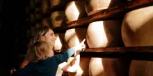 Caseifici Aperti: in crescita del 50% le visite nei luoghi di produzione del Parmigiano Reggiano
