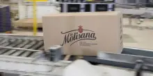 La Molisana: pronti ad aprire stabilimento negli Usa