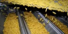 Dazi sulla pasta, cosa succede ora: c’è tempo fino al 16 ottobre per le aziende