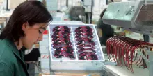 Contratti: per gomma plastica, occhiali e lavanderie richieste di aumenti oltre 200 euro