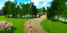 Esperienze immersive in realtà virtuale in grado di scatenare effetti simili a sostanze psichedeliche