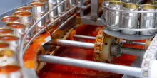 Pomodori pelati con raggi infrarossi e ultrasuoni: così si risparmia energia e acqua
