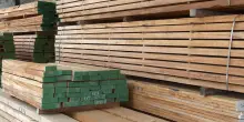Il settore del legno italiano tiene con le costruzioni