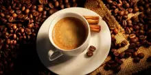 Caffitaly investe sulla crescita declinata tra accordo con Costa Coffe, retail e sostenibilità