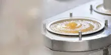 Frutta, vaschette e pouch di polpa al cucchiaio consumate dal 40% delle famiglie