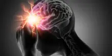 Scoperto un nuovo bersaglio nel cervello per curare ansia e anoressia