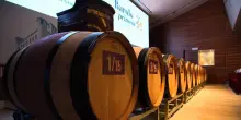 Barolo en Primeur, nuovo record per l’asta benefica di Alba