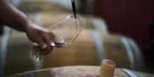 "Dazi? La partita è aperta", dice Angelo Gaja. Viaggio tra paure e speranze del vino