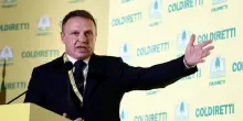 Il pluralismo a targhe alterne di Lollobrigida: vaccini sì, carne sintetica no