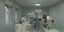 Torna il virus populista sulla sanità
