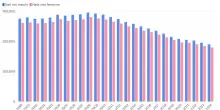 Blog | Ogni anno, da quasi 40 anni, nascono molti più maschi rispetto alle femmine. Che cosa significa? - Info Data