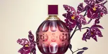Interparfums, vendite in flessione negli Usa (-20%). Spinge l’Europa grazie a Coach e Lacoste