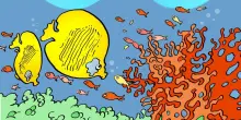 Blue economy, il megatrend è a fine corsa? Alcuni fondi resistono: ecco quali