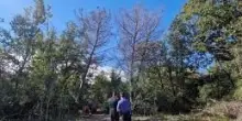 Difesa, precipita velivolo dell’Aeronautica Militare a Sabaudia. Morti i due militari a bordo